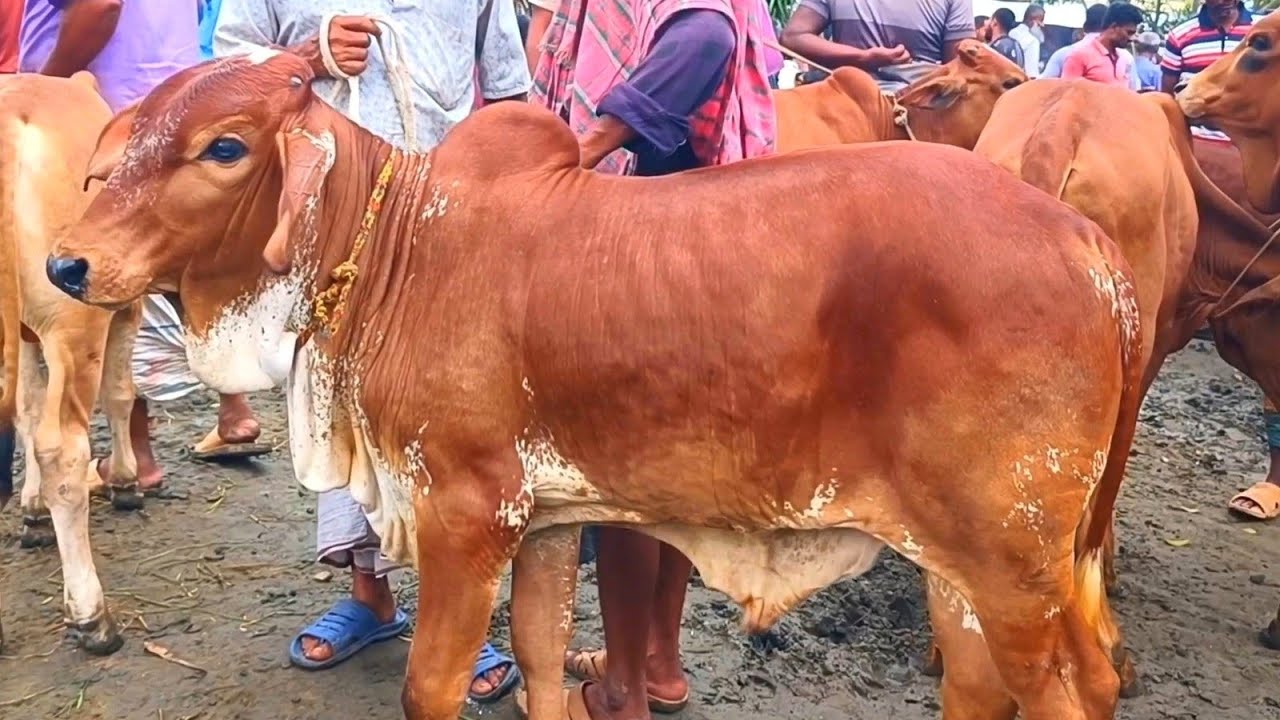@আজ ১৯ মার্চ