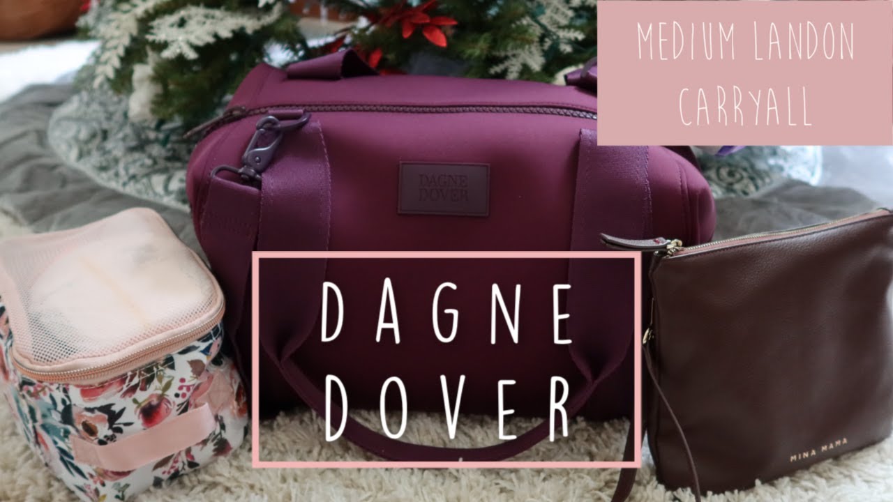 Dagne Dover Medium Landon Carryall | Amazing Travel Diaper Bag!