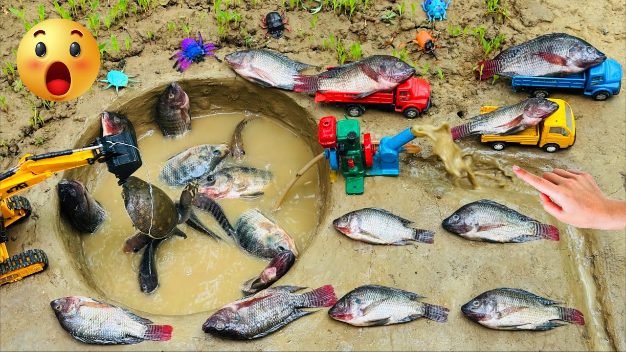 Crazy Fishing Adventure with MINI Water Pump and Diesel Engine
