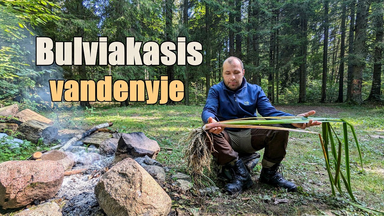 Kasu vandenines 