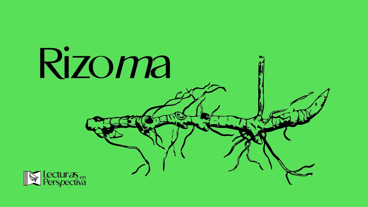 El Rizoma como Teoría Literaria