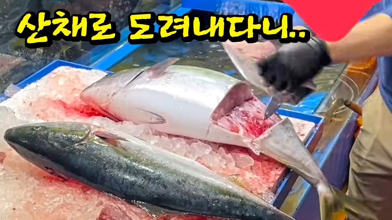 충격과 공포의 수산시장 회 뜨기, 이래도 되는 걸까?