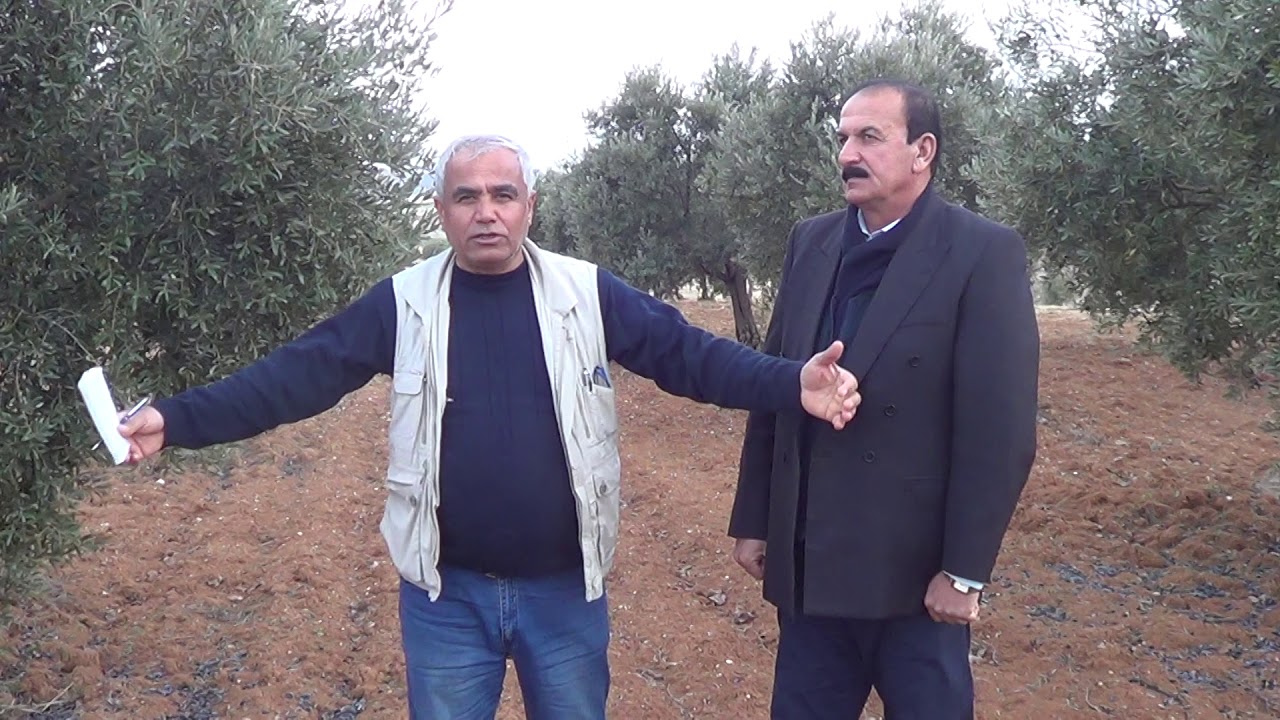 MERA VASFINI KAYBEDEN BAHÇELER HAZİNEYE DEVREDİLMELİ VE VATANDAŞLARA BEDEL KARŞILIĞINDA DEVREDİLMELİ