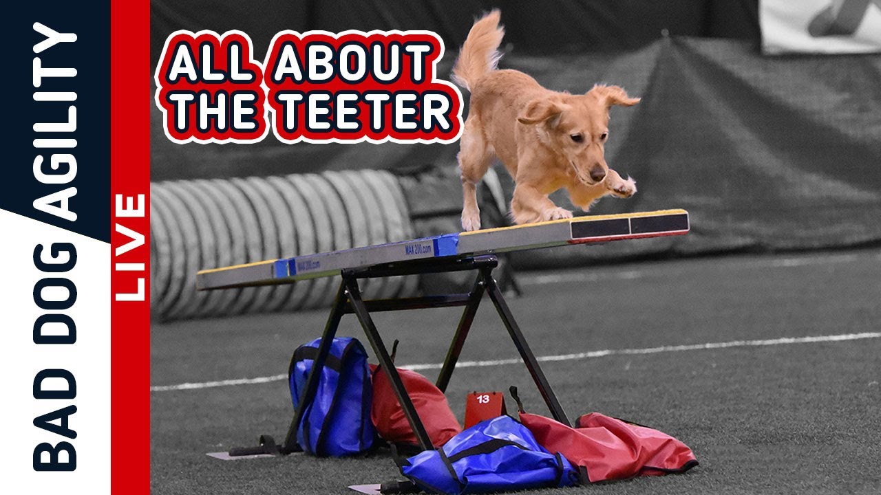 All About the Teeter