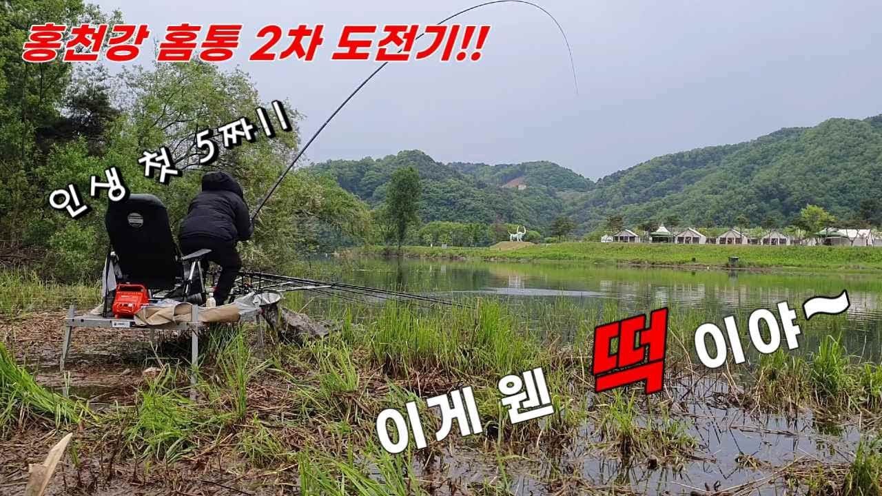 경기북부낚시인 #붕어낚시 #강낚시 #홍천강 붕어낚시 #강붕어 #5짜붕어