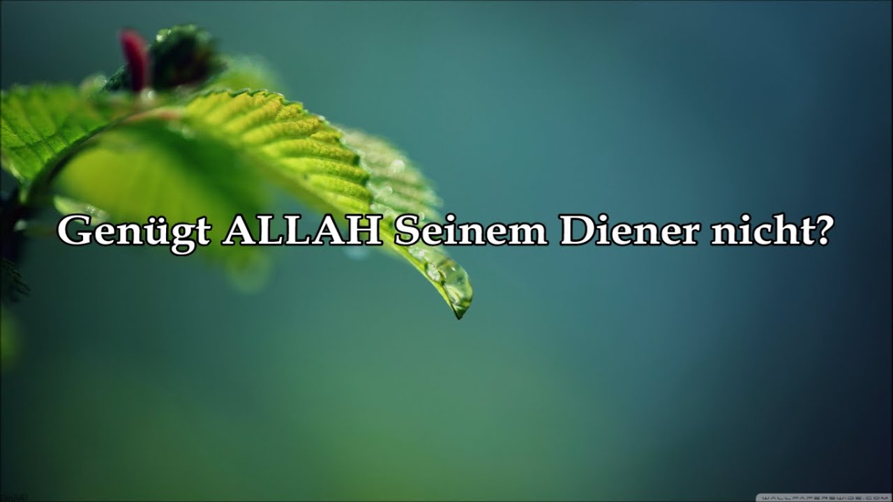 Koran auf deutsch mit Erklärung Sura 39 
