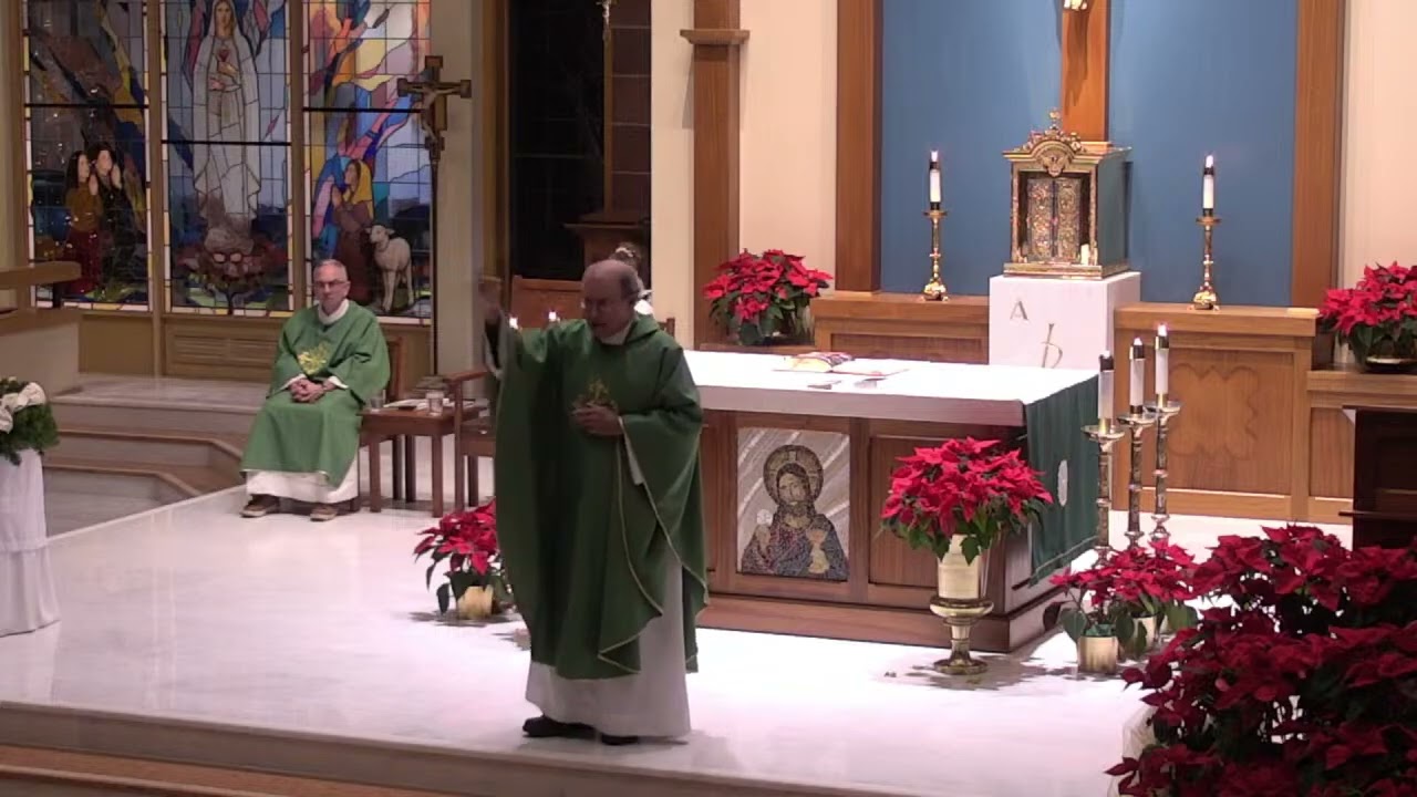 Father Alan Bower, Cross Catholic Outreach (homily, Jan 2026)
