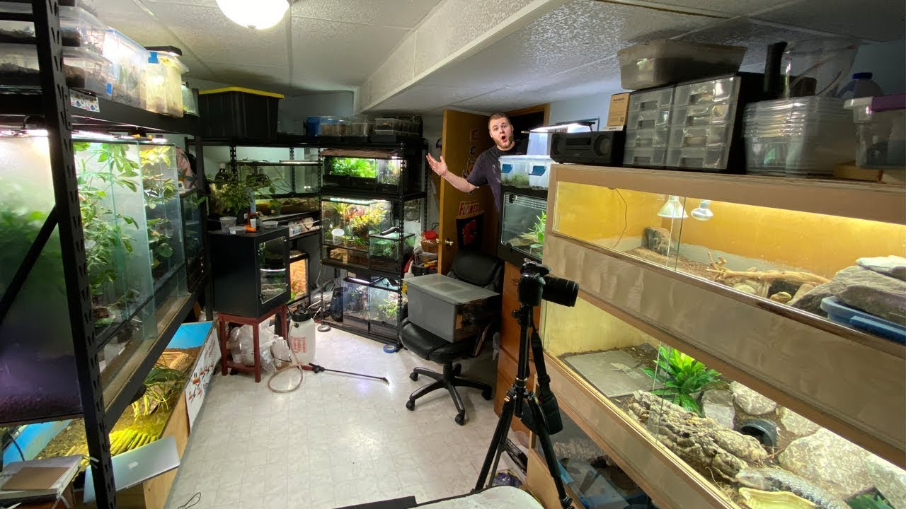 REPTILE ROOM TOUR DECEMBER 2019!!!