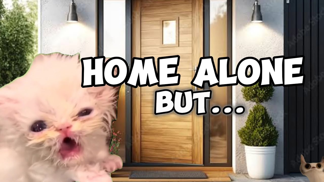 CAT MEMES: HOME ALONE BUT...