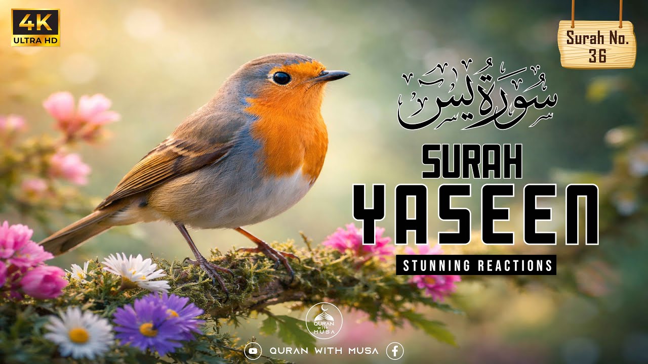 036 Surah Yaseen | Ultimate Deep Emotional Recitation of Quran | with English Subtitle | 2026
