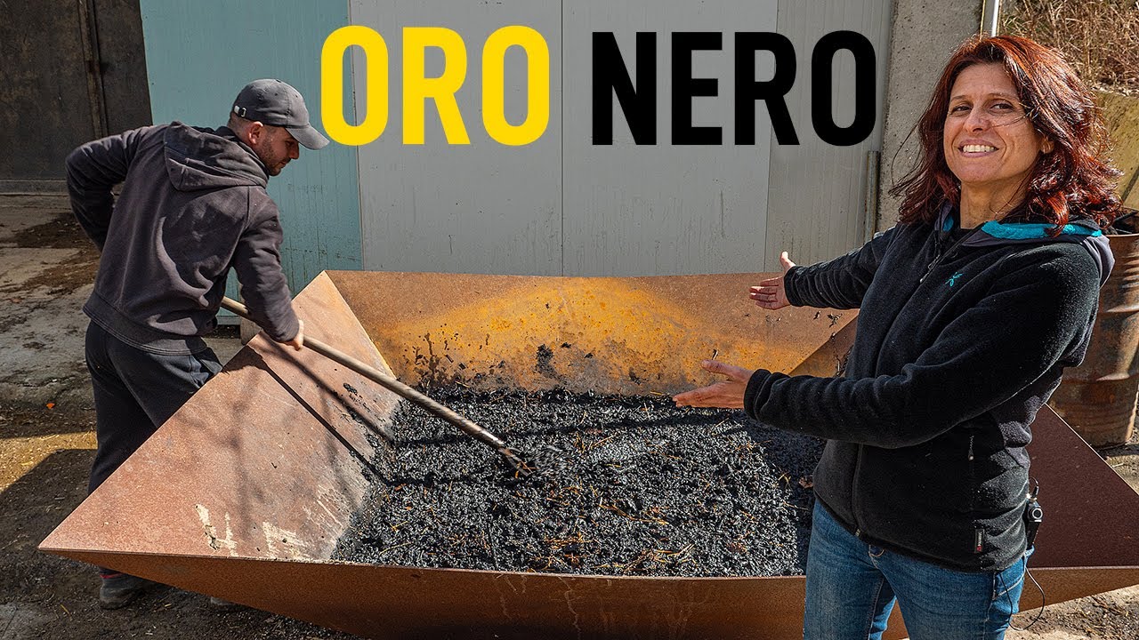 BIOCHAR. Come si produce e a cosa serve 🔥
