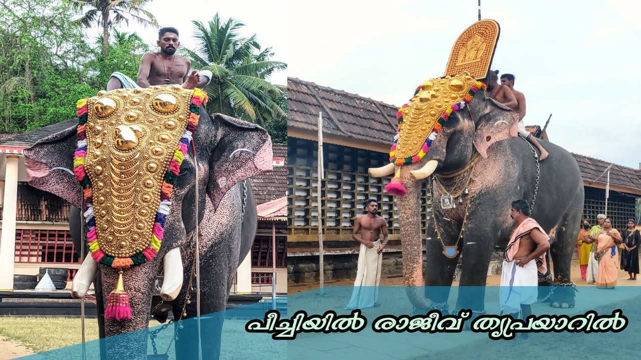 പീച്ചിയിൽ രാജീവും അനീഷേട്ടനും തൃപ്രയാറിൽ  😍🔥 peechiyil rajeev @Thriprayar Temple #thriprayar