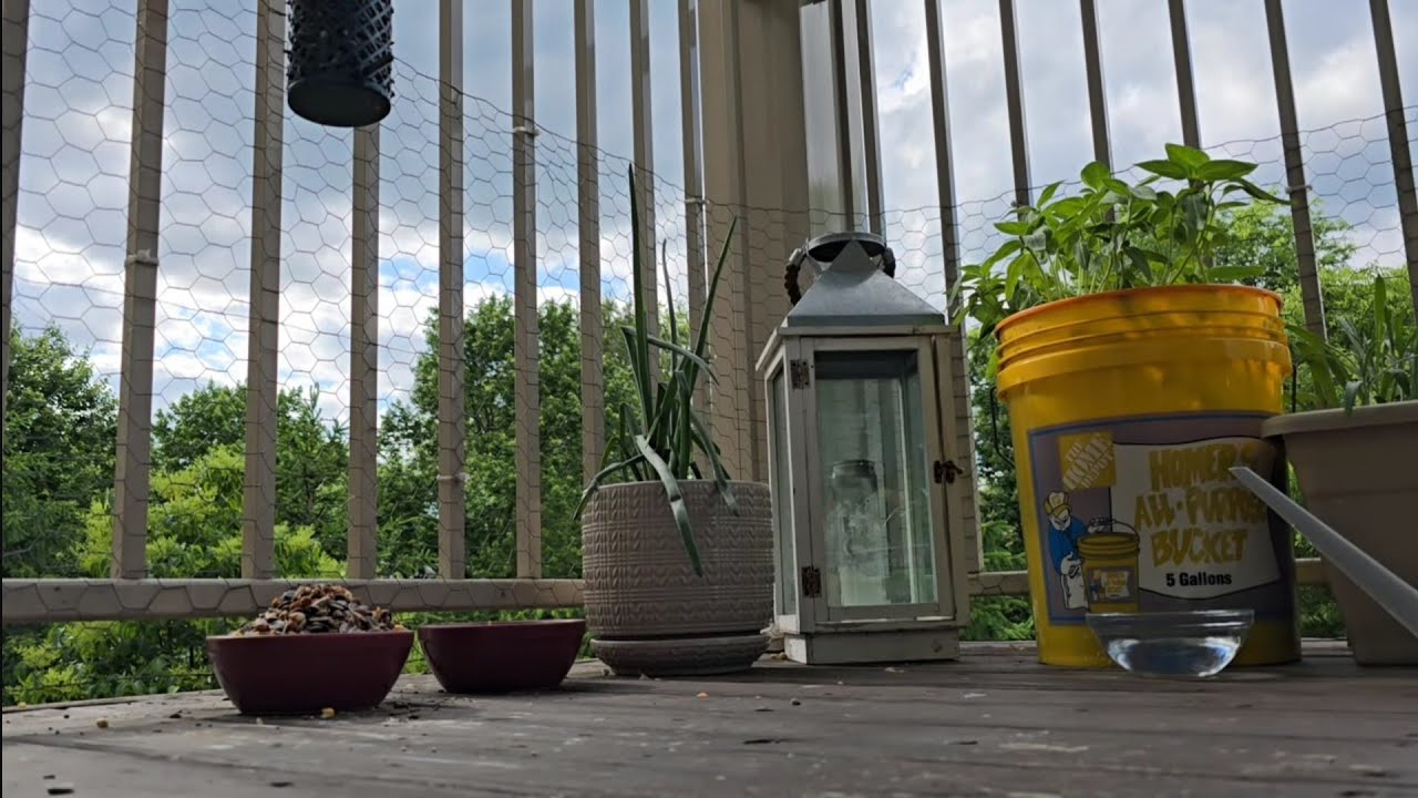 Peaceful Balcony On A Sunny Day