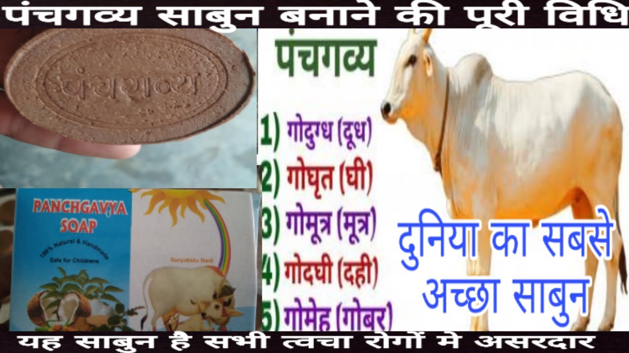 आयुर्वेदिक पंचगव्य साबुन बनाने की पूरी विधि  gobar se sabun kaise bnaye
