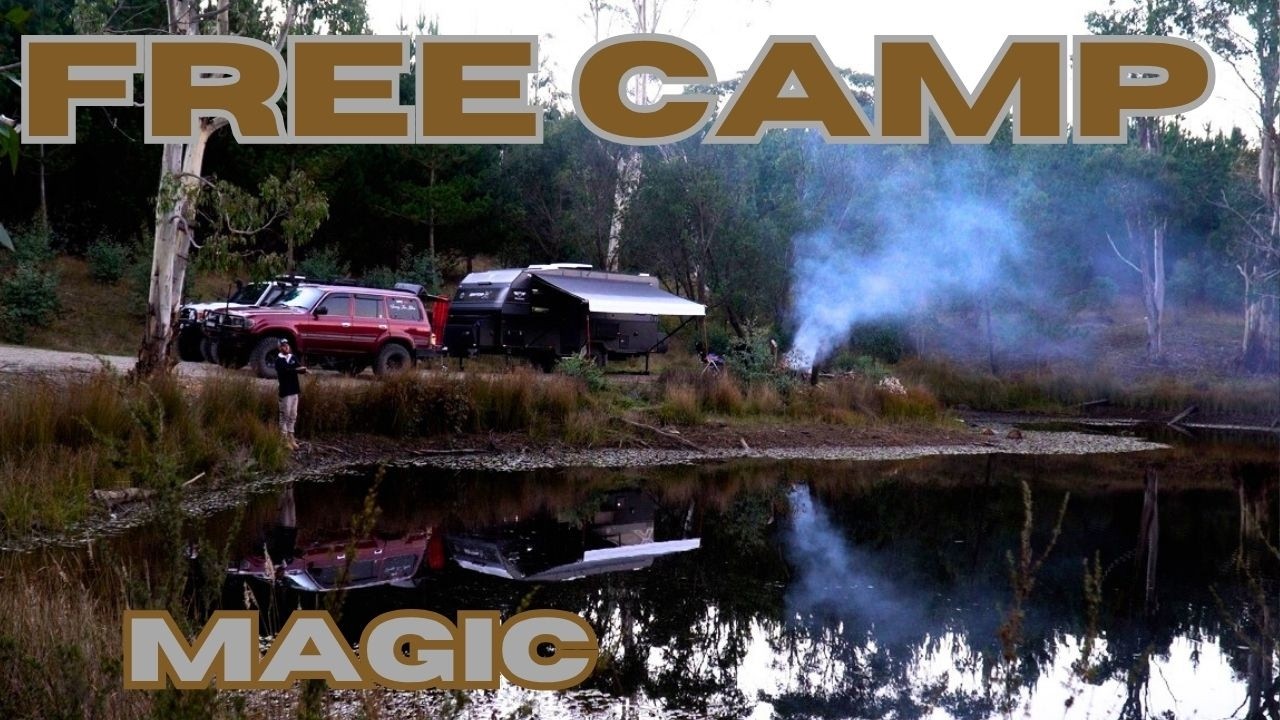 Free camping in a Blue Mountains Pine forest in our new Caravan - Jb Gator x 2025 - Off Grid