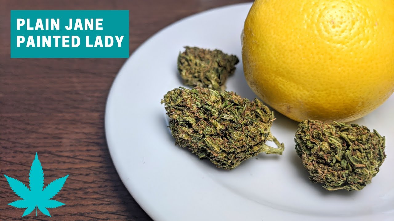 Painted Lady CBD Hemp Bud Review (Plain Jane)