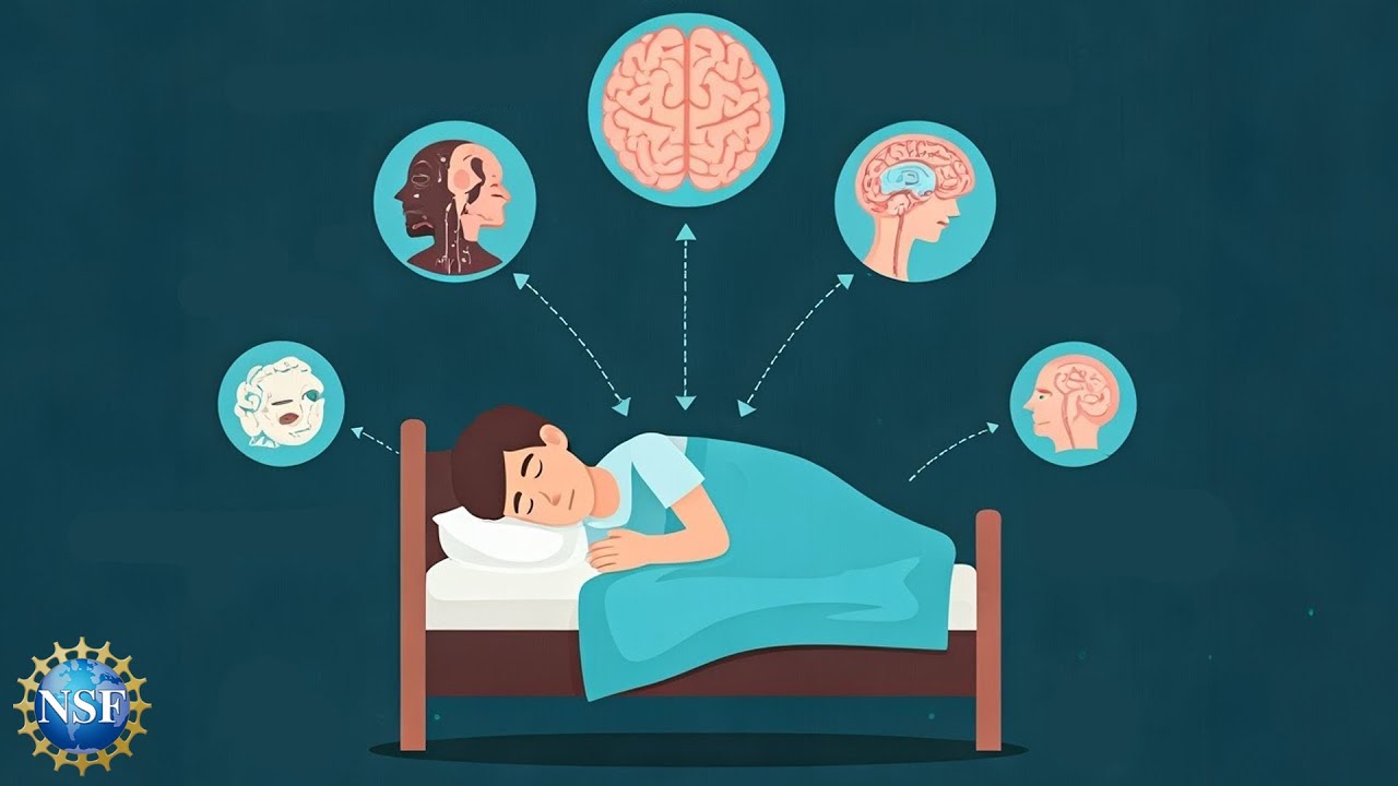 The Connection Between Memory & Sleep | Science Nation