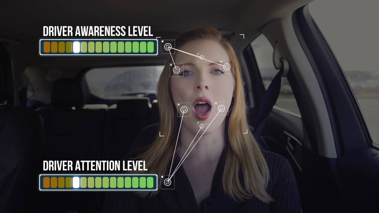 Driver Monitoring Video V 8