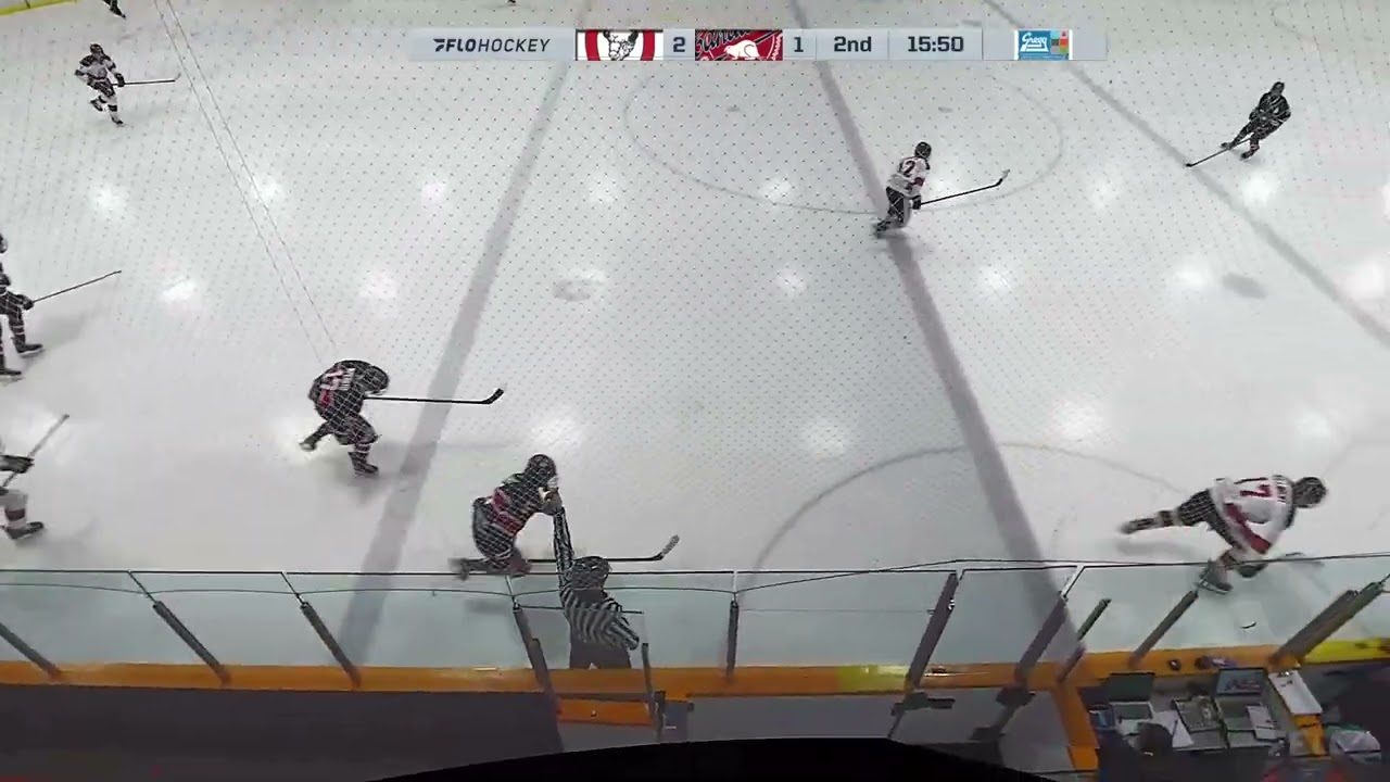 Ethan Cornelius | 2008 Goalie | AEHL U17 AAA February 9, 2025 CAC vs Calgary
