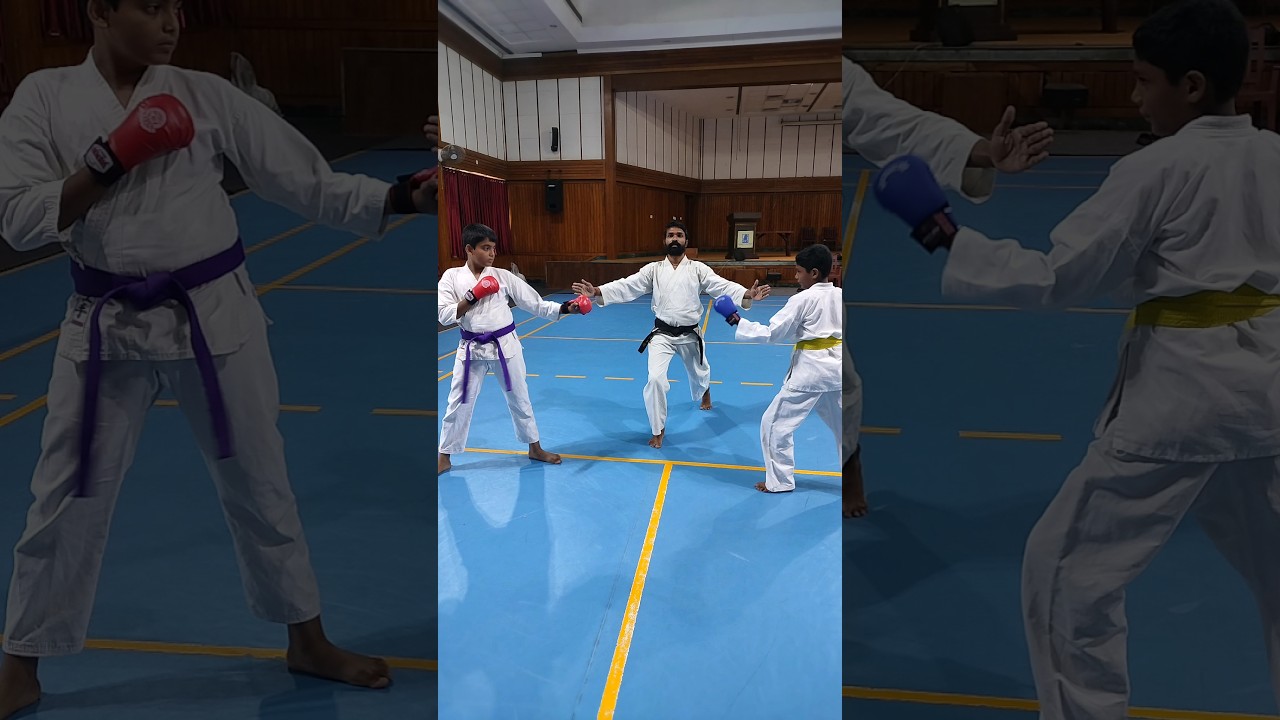 Kumite 👊💪 Karate Fight