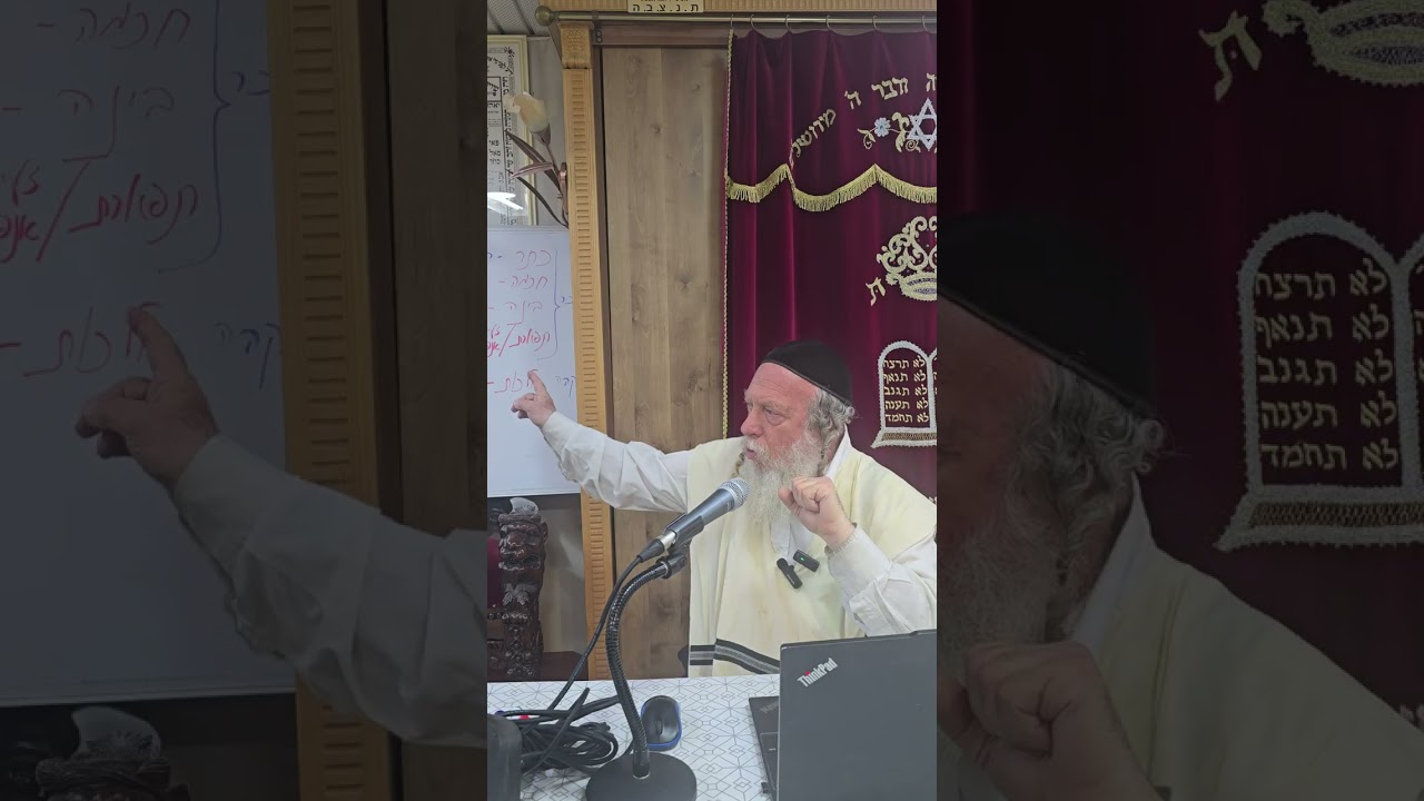 קציר - עבודות האילן המתקיימות באדם. | הרב גוטליב.