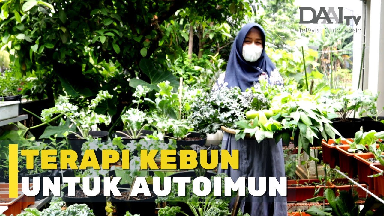 80% Kebutuhan Sayur Didapat dari Kebun
