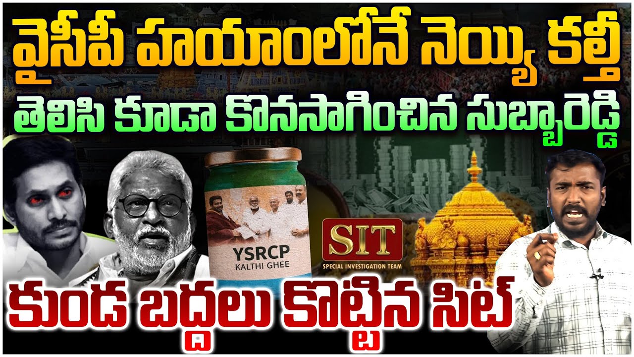 వైసీపీకి షాక్ ఇచ్చిన సెట్😱 Analyst Sudhakar on Tirumala Ghee Adulteration Case Latest Update | YSRCP