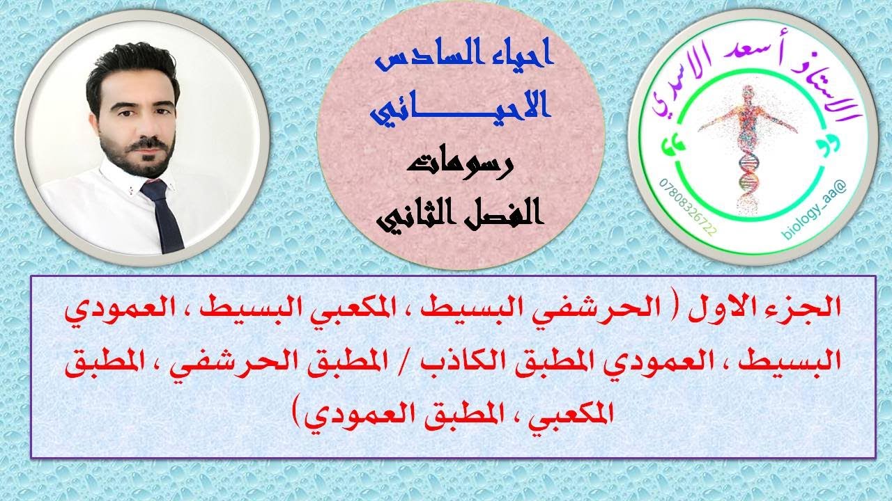 احياء السادس الاحيائي/ رسومات الانسجة الجزء الاول / الاستاذ اسعد الاسدي