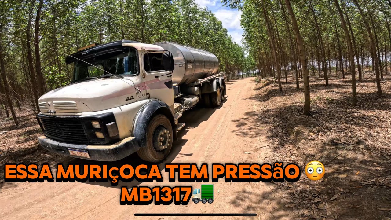 Rotina de um motorista de caminhão que transporta leite 🚛🐄 suco da mimosa 