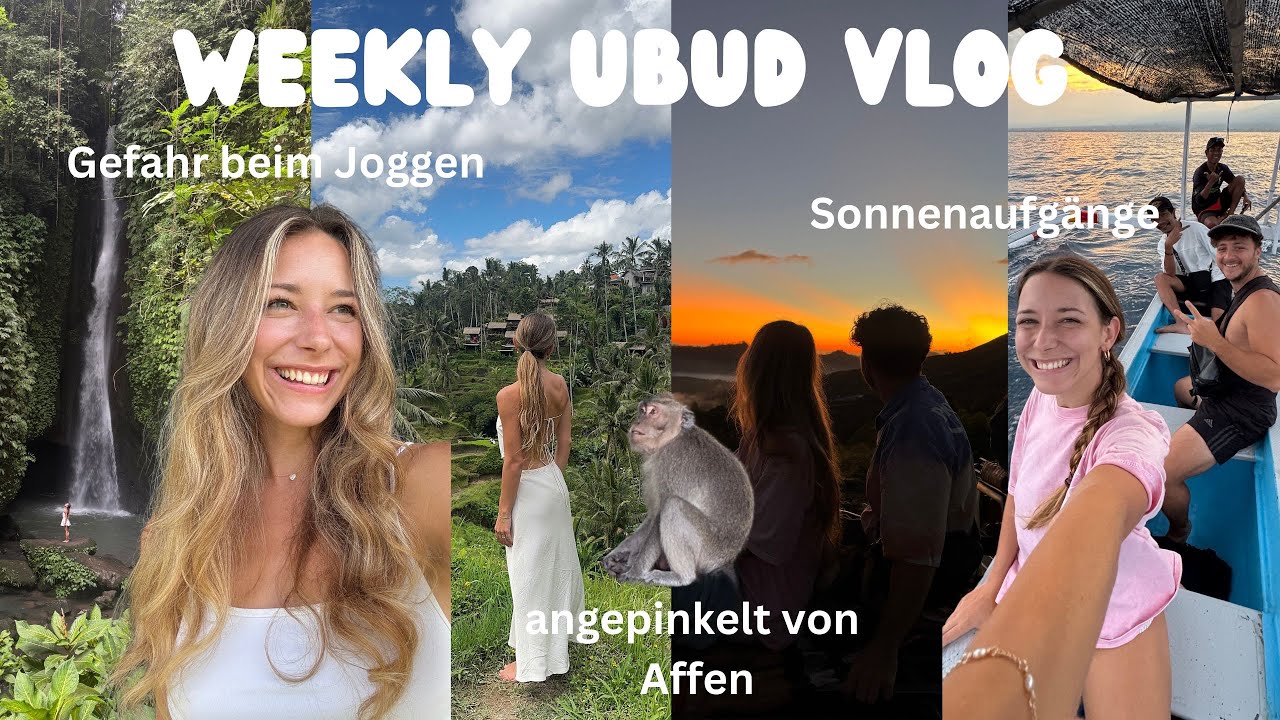 EP. 9 Angepinkelt vom Affen, Hundeangriff & 2 Uhr Vulkantour | Ubud Abenteuer 🐒✨🌴🐬