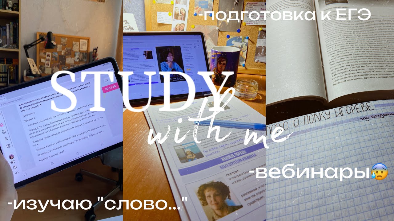 ДНЕВНИК ВЫПУСКНИЦЫ|подготовка к ЕГЭ,вебинары ЕГЭland,изучаю «Слово…»,чтение