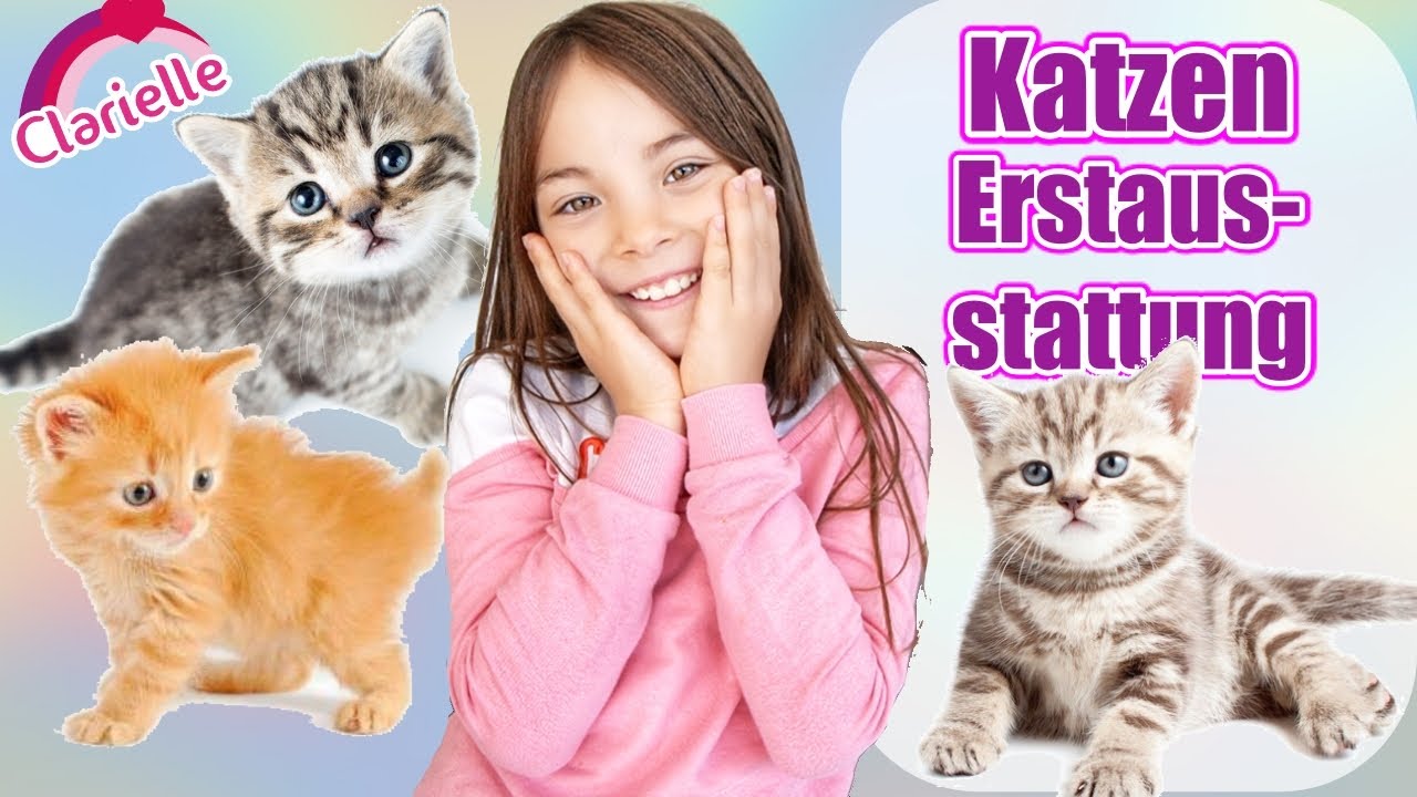 Ich bekomme eine Katze 😍 Eltern zum Haustier überreden! Häuschen bauen! Erstausstattung | Clarielle