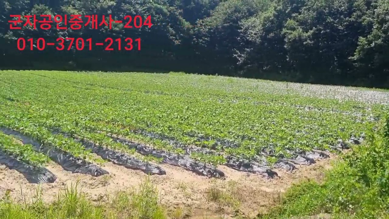 204.  산아래 넓은토지 매매