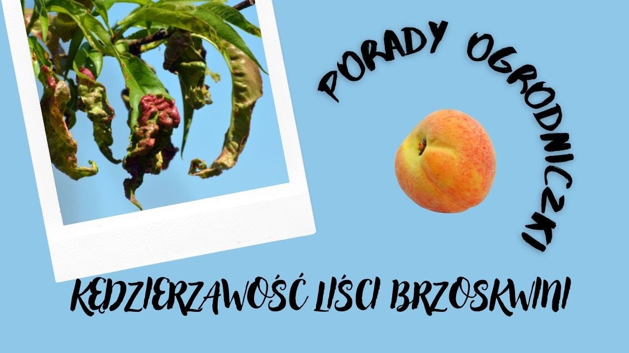 ‪@ogrodniczka4290‬