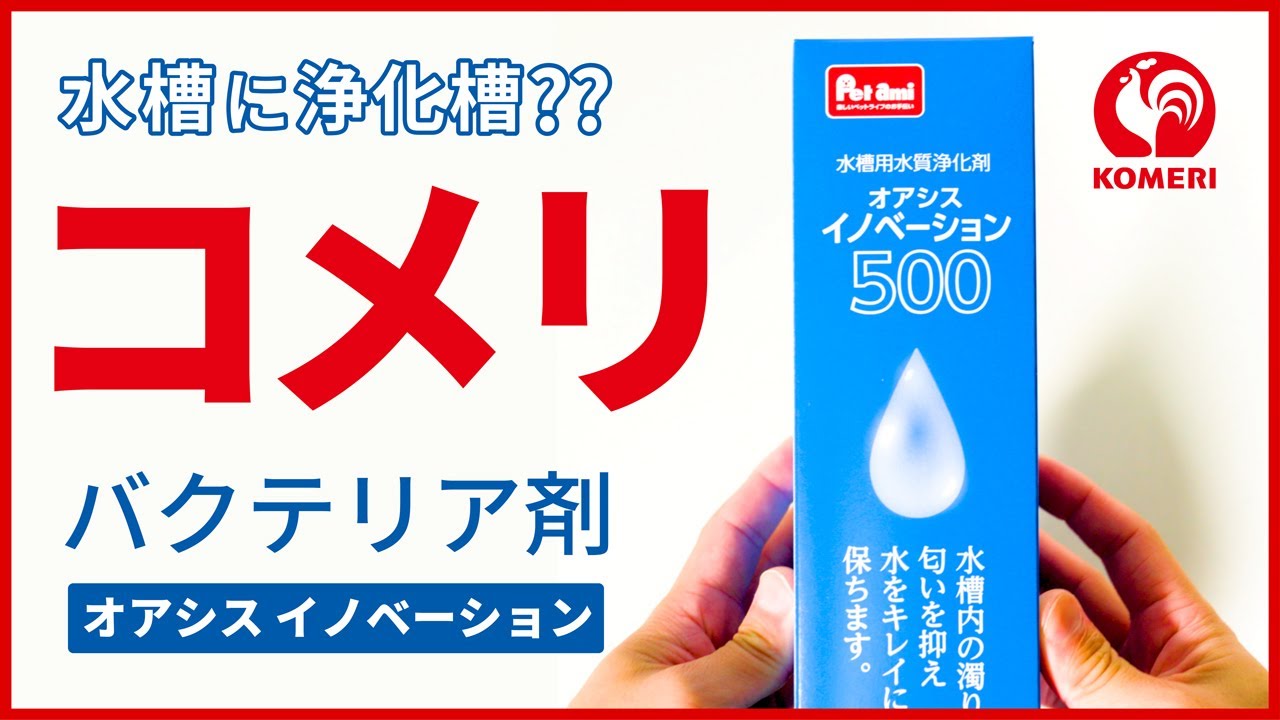熱帯魚や水草水槽に使えるコメリのバクテリア剤イノベーションを徹底検証&レビュー！【アクアリウム用品】