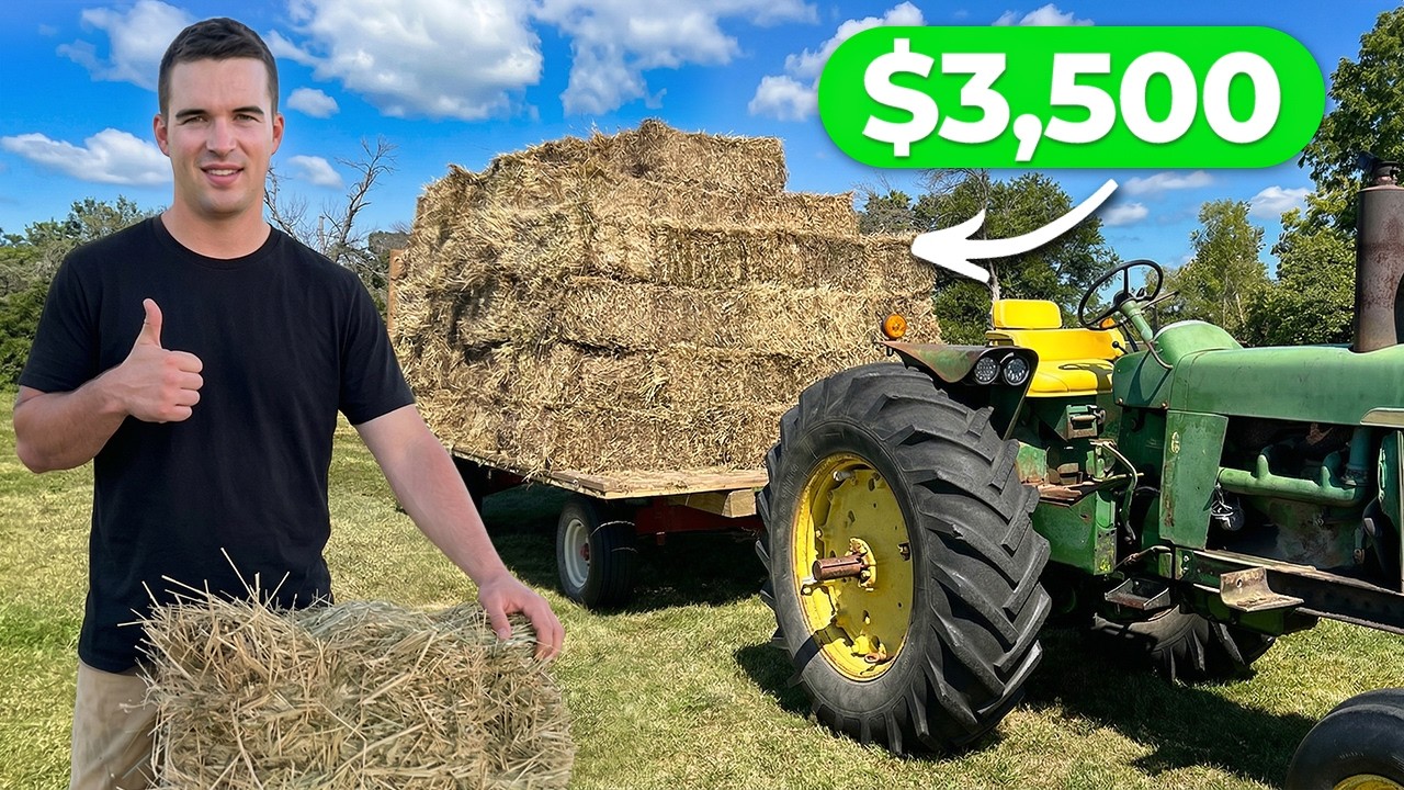 How Much I Made Baling Hay From Scratch (Second Cut)