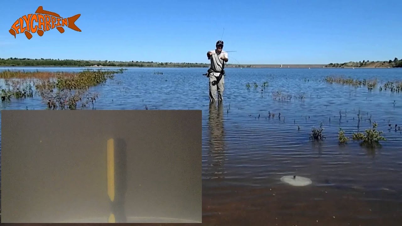 Fly Fishing for Carp Drag and Drop Presentation