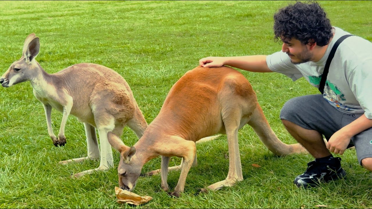 moved to australia