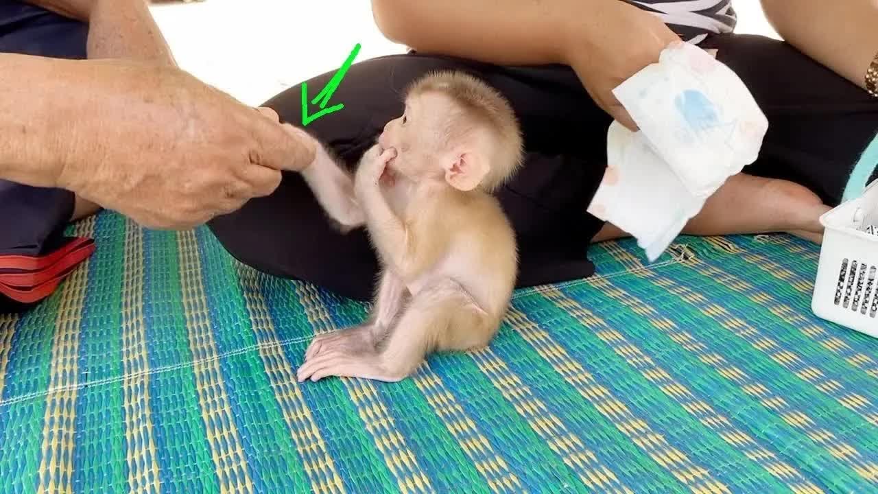 Most Cutest BB DAM Shaking Hand With Grandpa