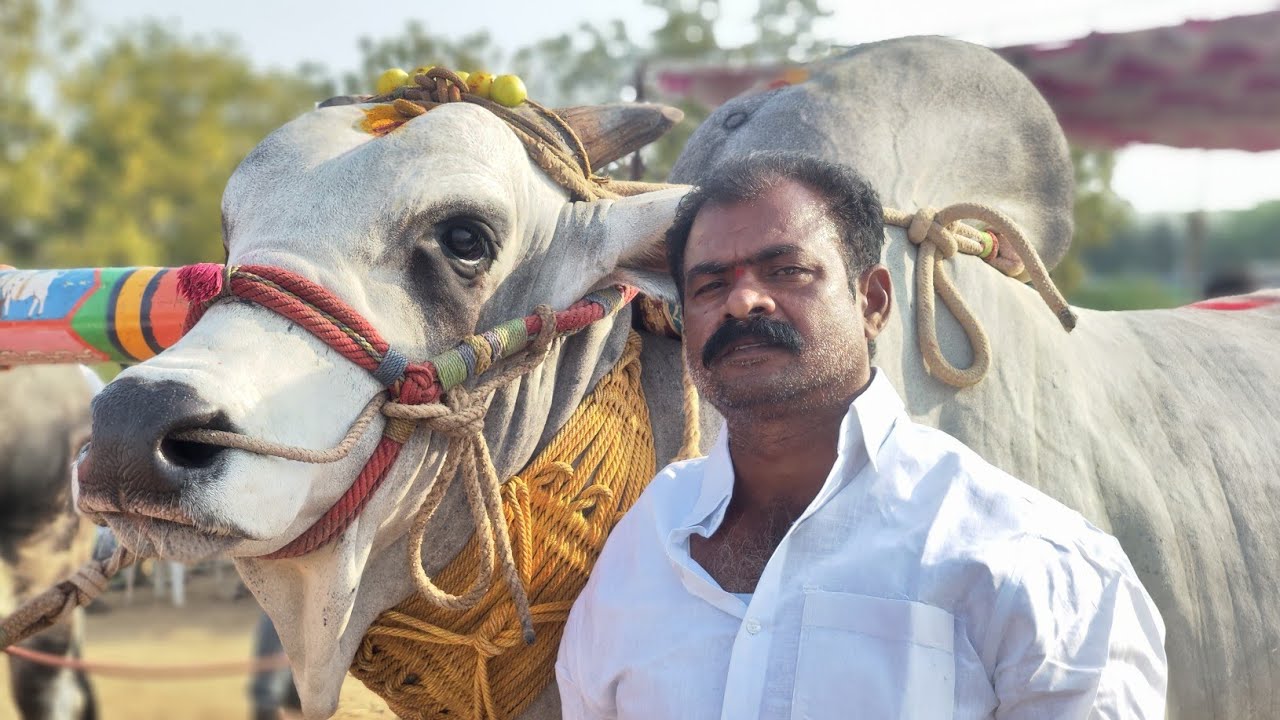 BTECH రవి అన్న గారి జన్మదిన సందర్భంగా దొండ్లవాగు గ్రామం సీనియర్ 12వ జత PSKY BRO'S 💥💥