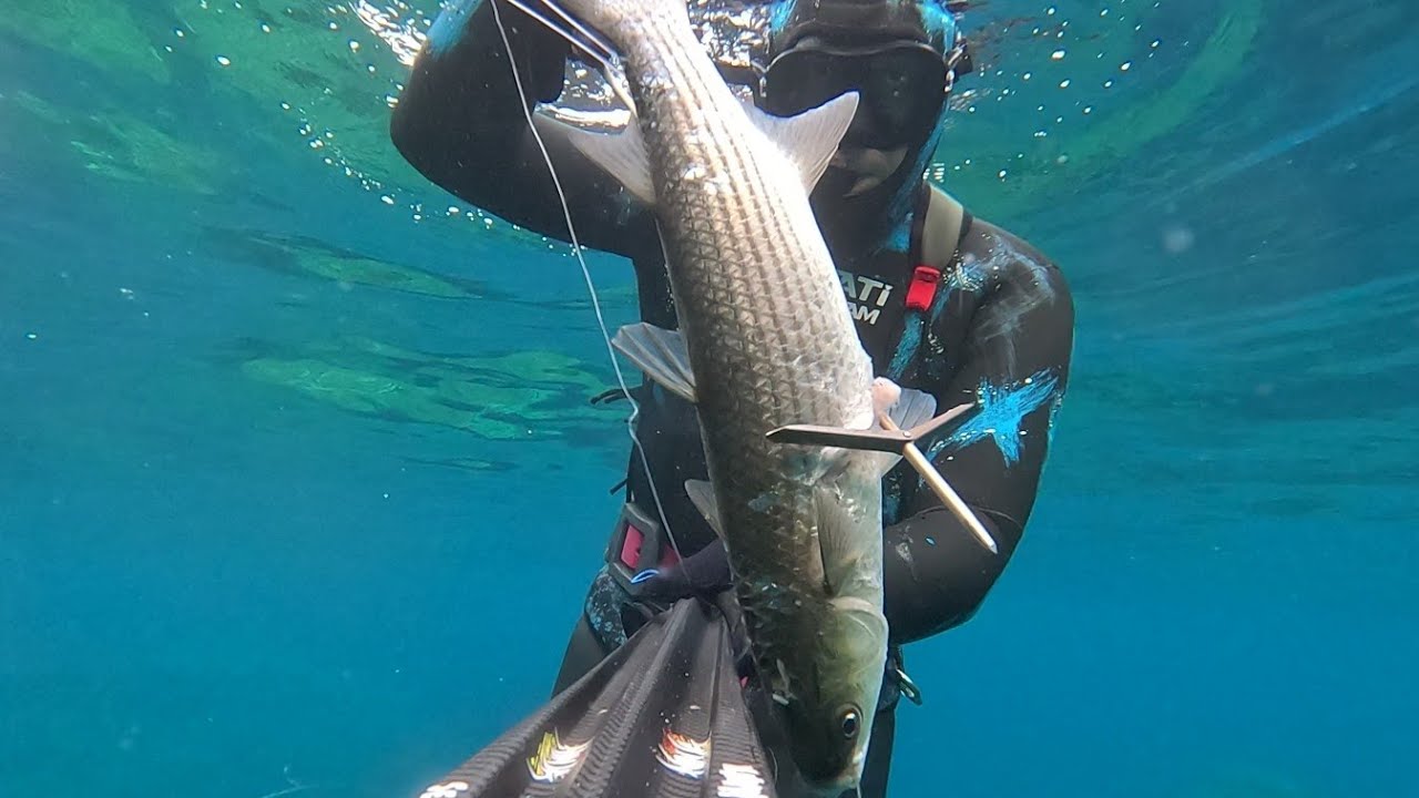 PESCA SUB SARDINIA: PESCE BIANCO SUL GROTTO.....