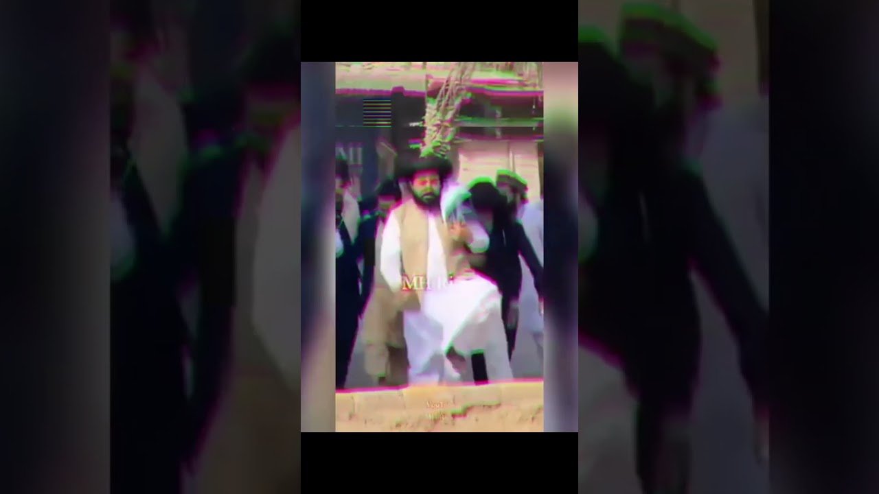 Talibaan Vs Tehreek e Labaik🔥 | tlp status #tlp #saadhussainrizvi #khadimhussainrizvi #tlpofficial