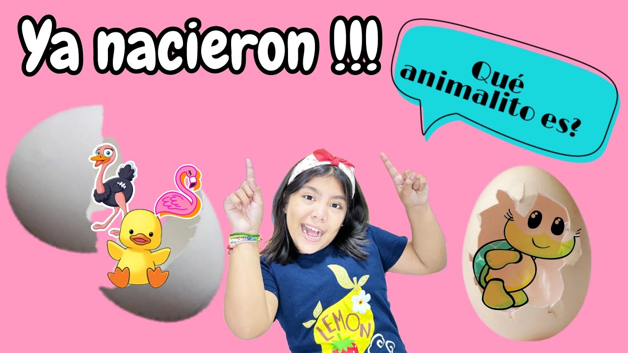 Nacen los huevos 🥚 que encontré #jugandoycreandoconisabella #unboxing #lalafanfan