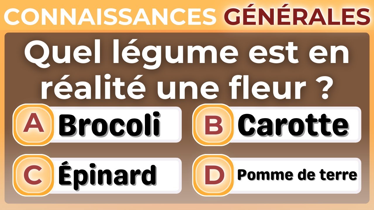 CE TEST METTRA VOTRE INTELLIGENCE À L’ÉPREUVE — OSEREZ-VOUS VISER LE SANS-FAUTE ?