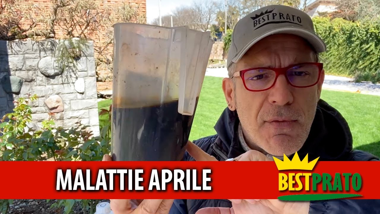 Prevenzione delle MALATTIE nel PRATO / Trattamento di APRILE