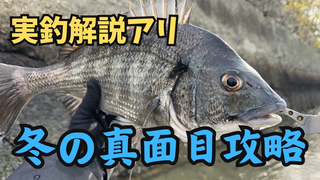 【チニング】ゼロチヌ　season3 　冬の真面目攻略　前編　それはタイドグラフにあります【チヌ】