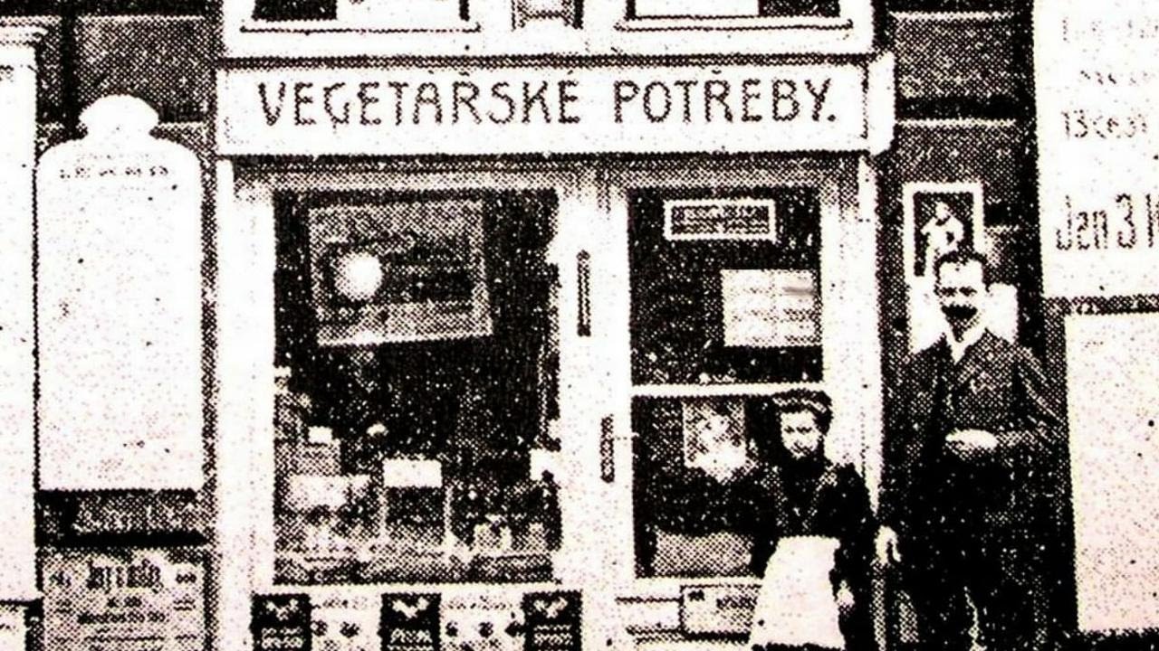 Jan &Scaron;ťastn&yacute; &ndash; Zaj&iacute;mavosti z historie vegetari&aacute;nstv&iacute; a veganstv&iacute; (VeganFest 2017)