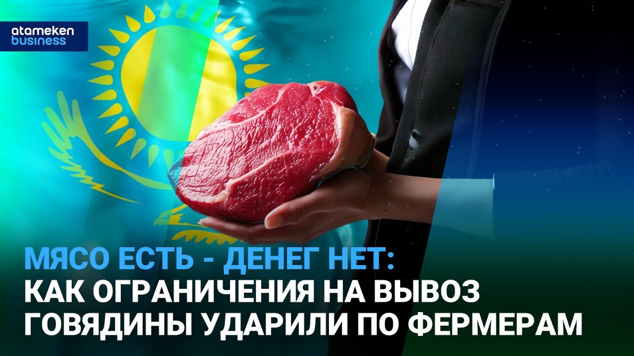 Мясо есть - денег нет: как ограничения на вывоз говядины ударили по фермерам | Время говорить