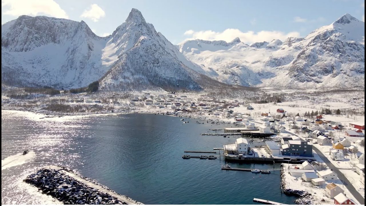 Winter Activities at Mefjord Brygge (Senja island, Norway)