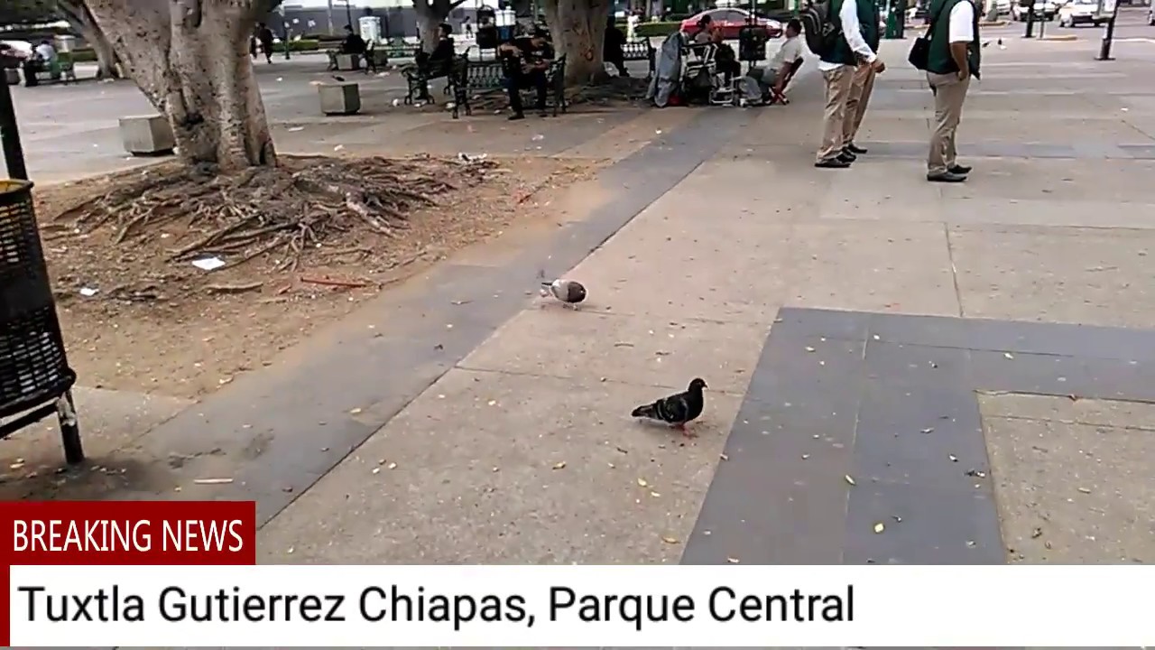 💖😍Tuxtla Gutiérrez Chiapas, Parque Central, 😍💖 EN ALGUN LUGAR DE LA SIERRA DE CHIAPAS